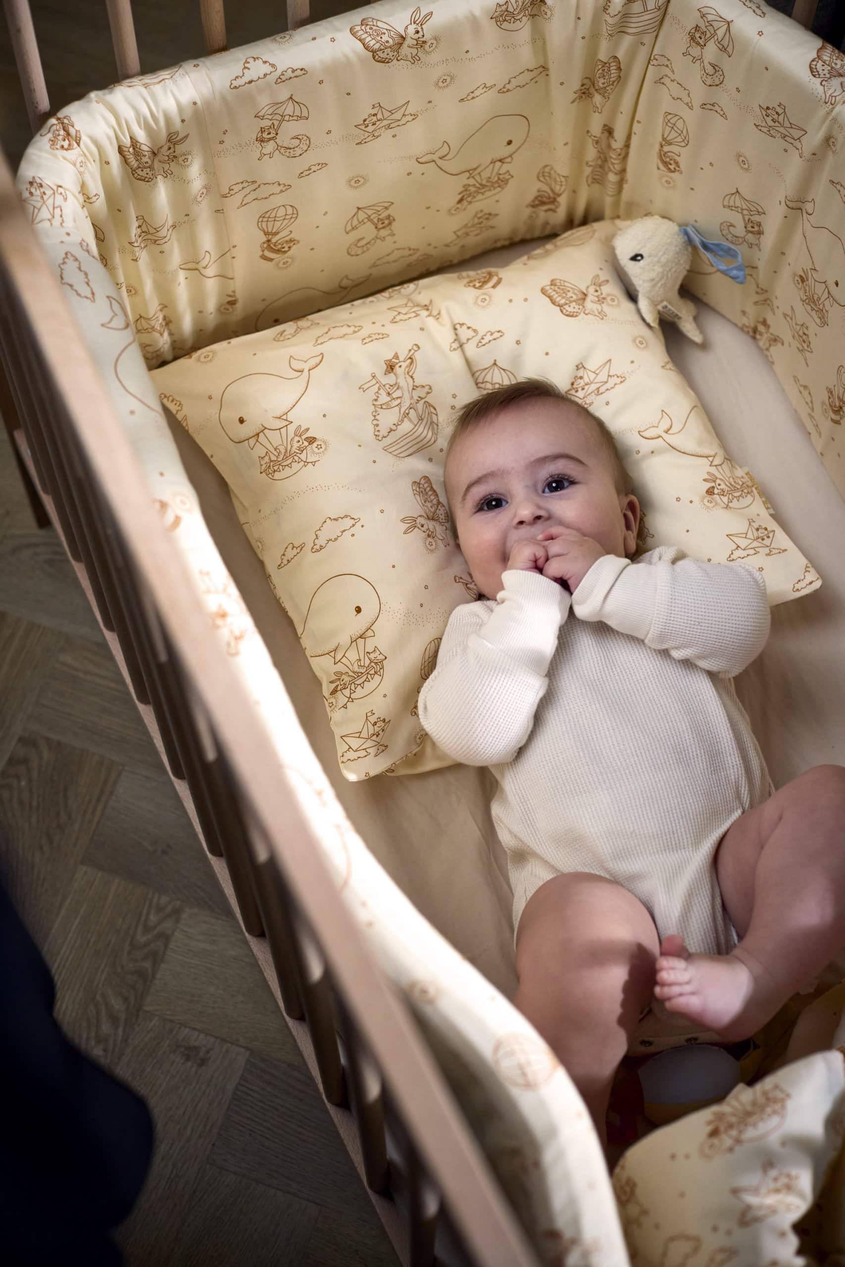 Dreamy Adventurers stuðkantur