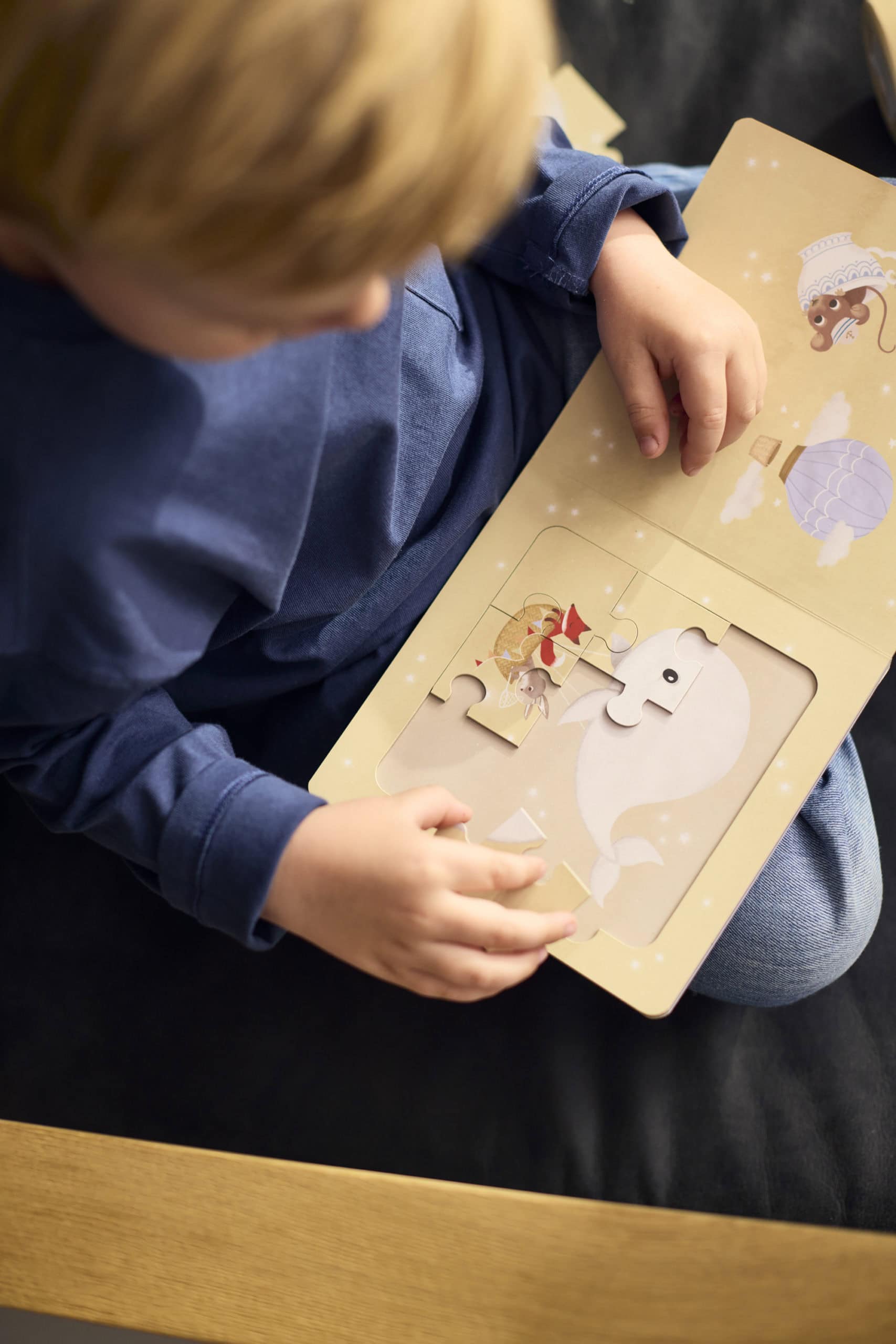 Púslbók - Dreamy Adventurers