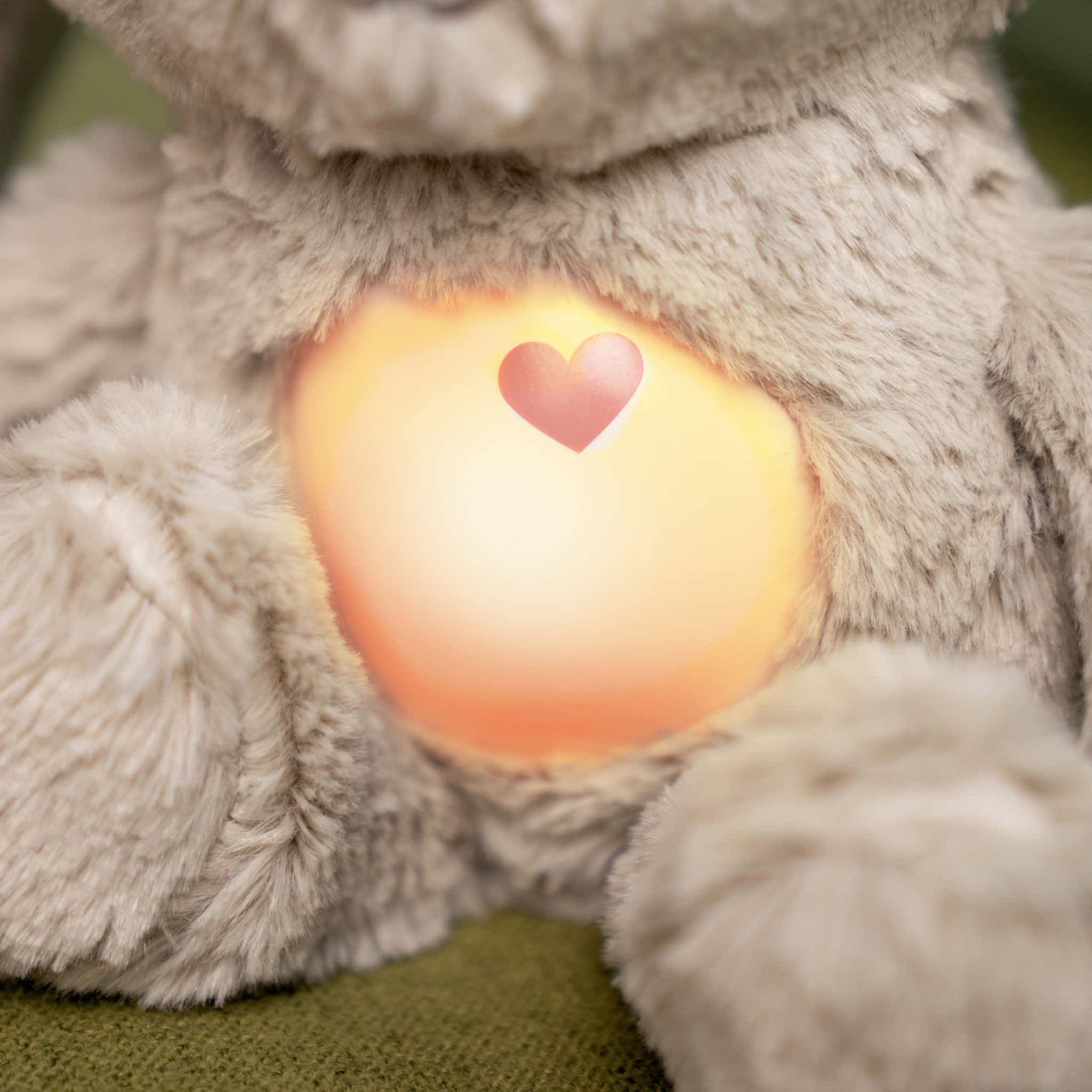 Mjúkdýr með ljósi - Sylvi