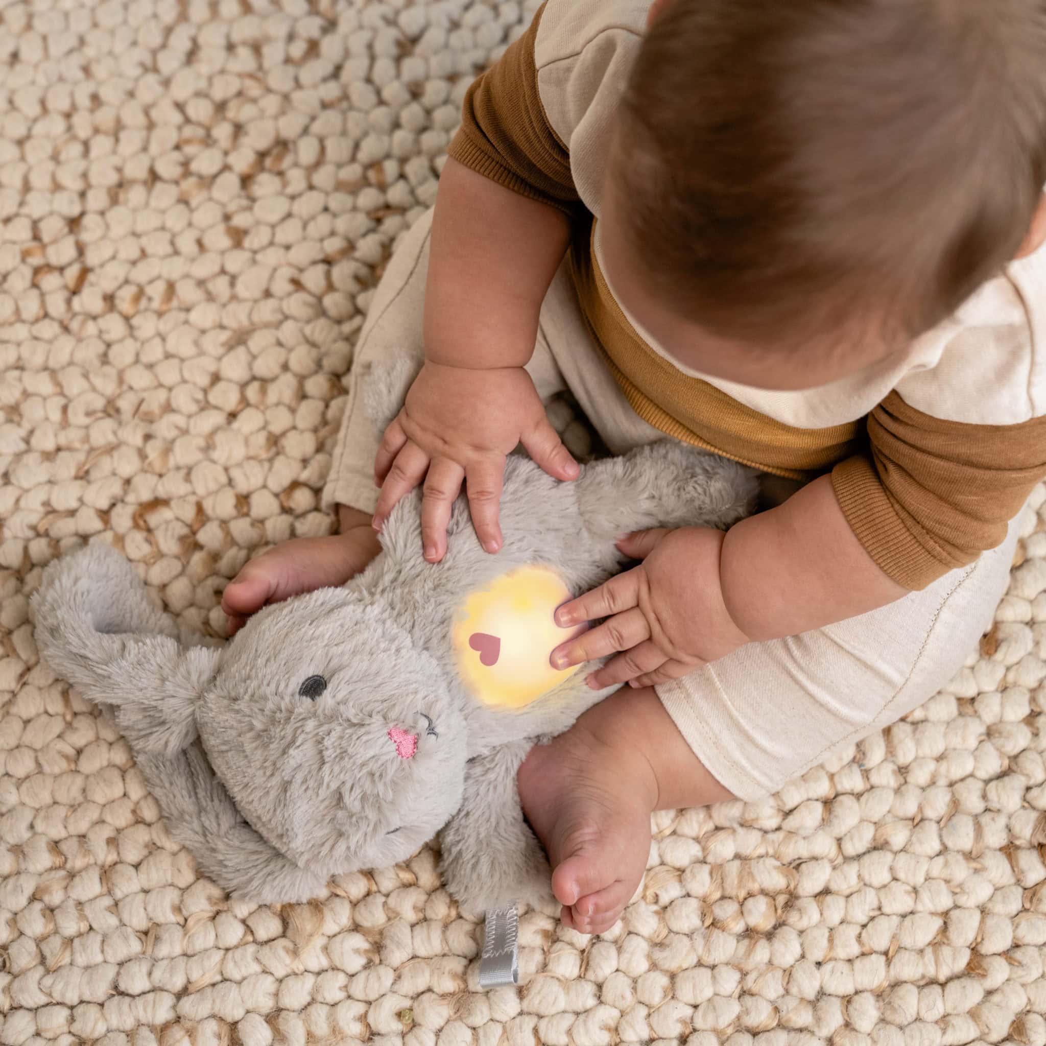 Mjúkdýr með ljósi - Sylvi