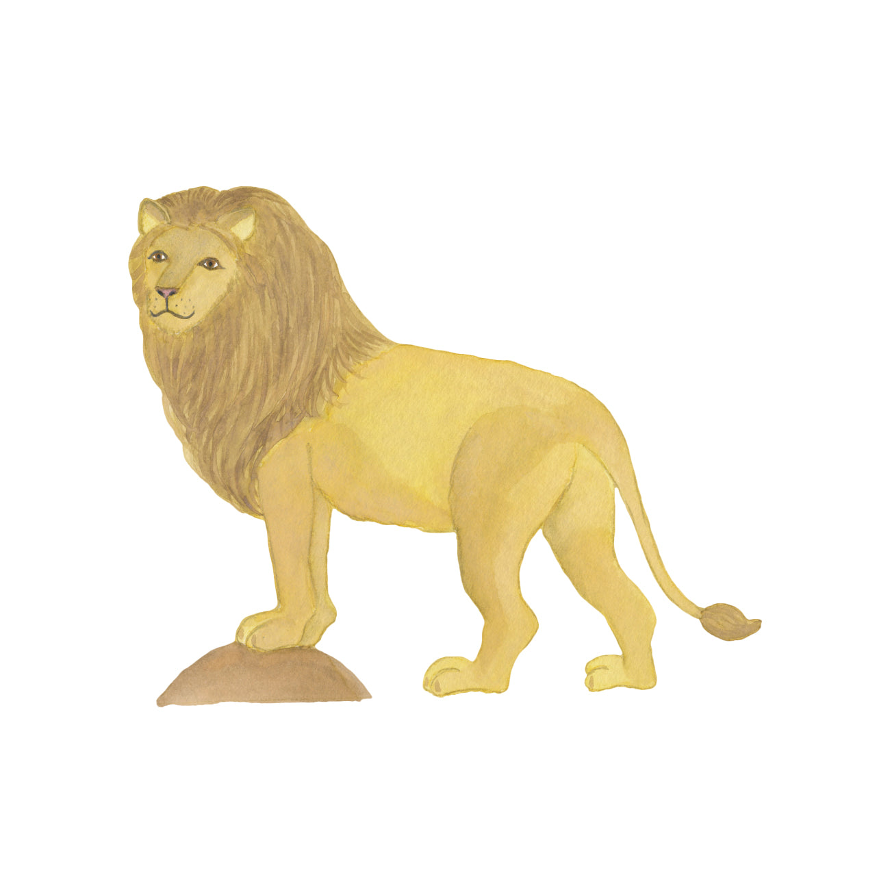 Vegglímmiðar - Lion