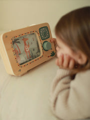 Safari sjónvarps spiladós