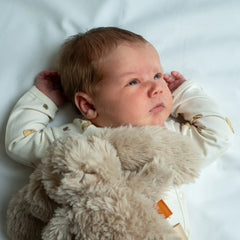 Þyngdarbangsi, mini - Bunny