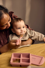 Frystibakki fyrir ungbarnamat, 2 stk - Rose Mix