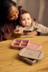 Frystibakki fyrir ungbarnamat, 2 stk - Rose Mix