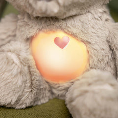 Mjúkdýr með ljósi - Sylvi