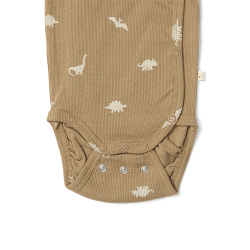 Poulette samfella - Dinasour Kelp