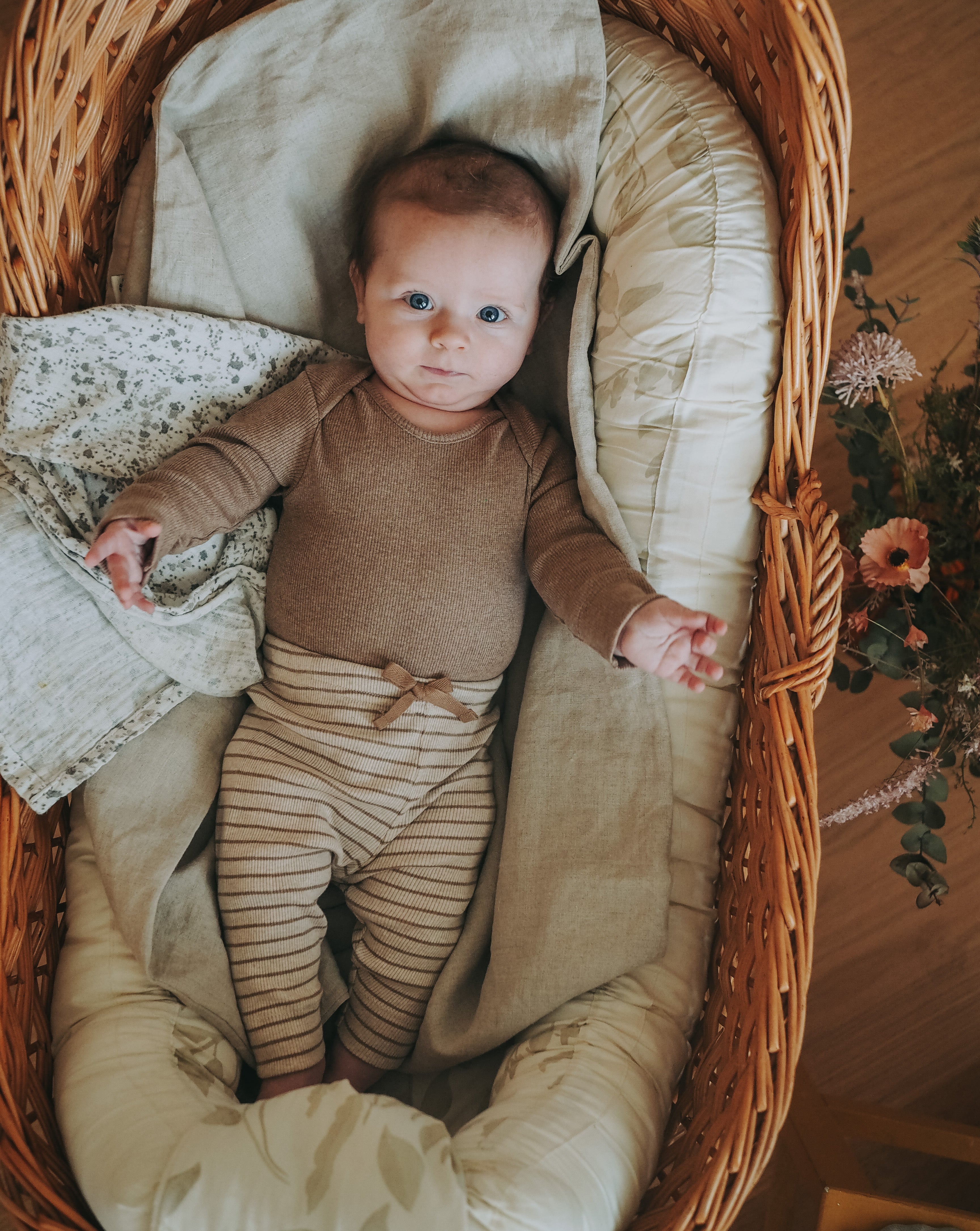 Rib ungbarnabuxur - Beige Melange